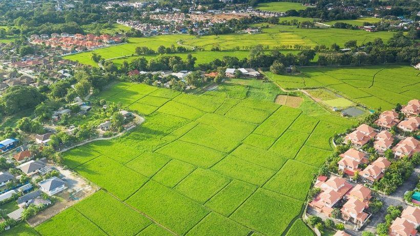 İmarlı Arsa ile Tarla Arasındaki Farklar Nelerdir? Yatırım Yapmadan Önce Bilmeniz Gerekenler